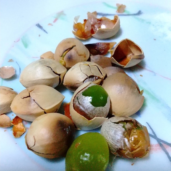 七輪！銀杏をオシャレに楽しむ方法！七輪マスタ