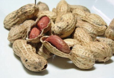 ピーナッツはナッツ 木の実 ではない - Sakura scope