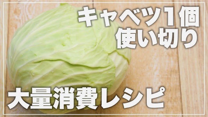 高田馬場 新宿で食べれる大きな桃が丸々一個乗った絶品ミルフィーユ！見た目のインパクト抜群です！ 「Re:s cafebar&sweets」📍東京都新宿区大久保3-9-5japanesefoodjapanfoodjapantiktokfood東京グルメ