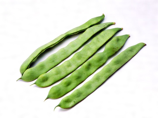 程よい酸味とやみつきになる食感が魅力の“いんげんの天ぷら”