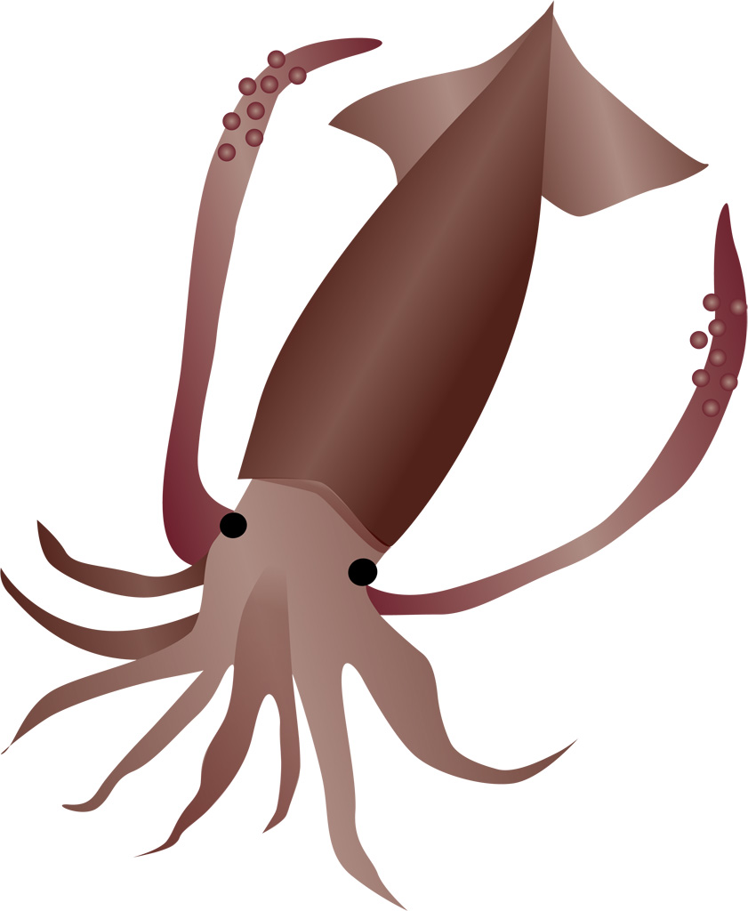 ダイオウイカを大空に泳がせよう！キッテオッテ - 10分でつくる、創造力