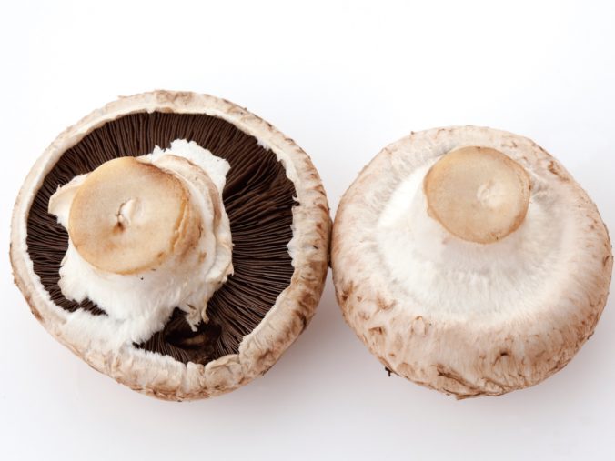 マッシュルームの中が黒い？！かさの裏が変色しても食べられる？たべぶろ