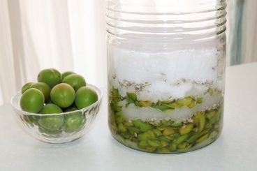 手作り酵素栄養素がぎっしり！キウイ酵素の作り方 – ジェイ・メディックス ブログ