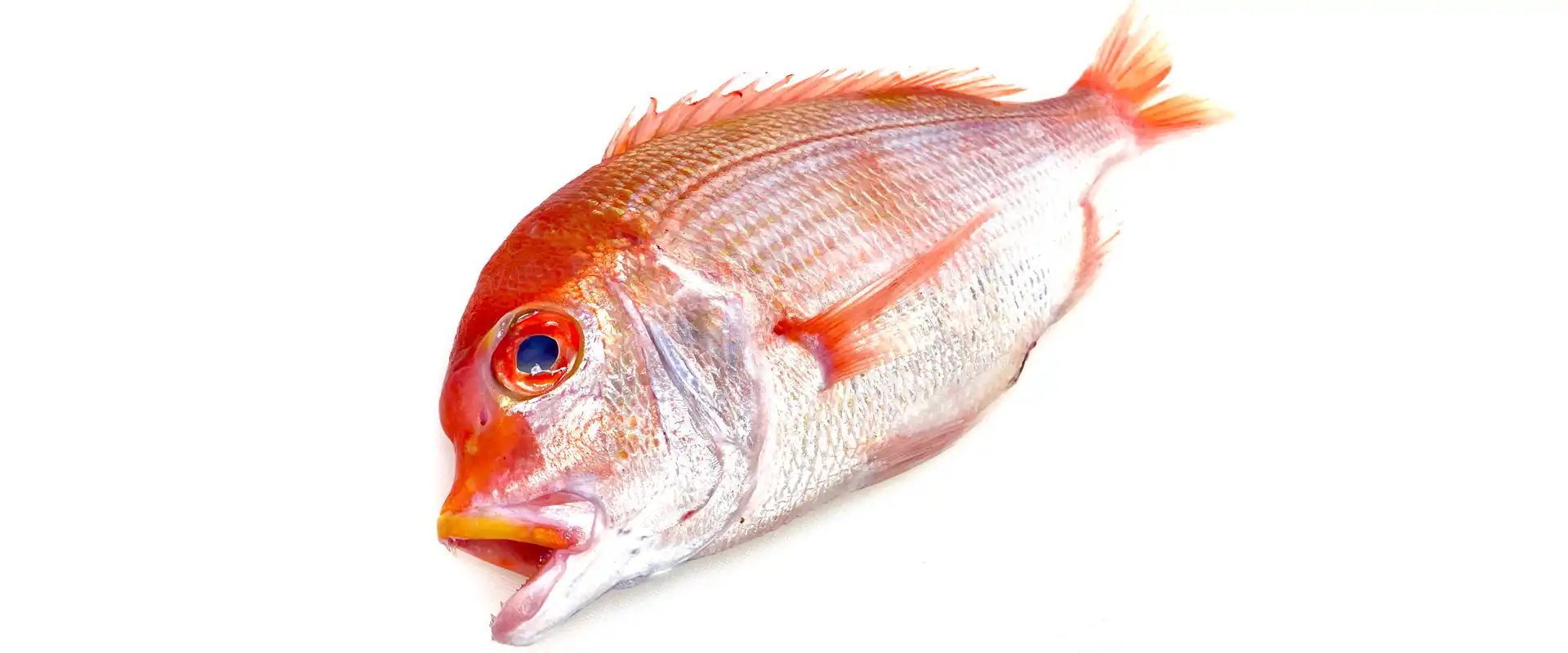 秋の味覚を楽しむレシピです🍂✨連子鯛とキノコの炊き込みご飯材 料４人分連子鯛1尾 約300g→魚の切り身でもOK塩 魚の下味用 小さじ1 2 米2合 きのこ類 えのき・しめじ・まいたけなど 100〜200g 昆布7cm角1枚 A. 味付け薄口醤油大さじ2みりん大さじ1 B