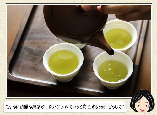 紅茶と緑茶の違いを大解剖！意外な共通点と歴史まで総まとめ宇治の老舗茶舗 京はやしや