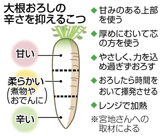 美味しい大根の選び方はこちら！これを見ると辛い大根とはさよならですョ！ ためになるtiktoktiktok教室料理料理動画TikTok