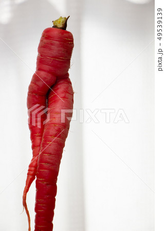 おもしろい野菜 大根と人参 訳あり野菜のイラスト素材72849405- PIXTA