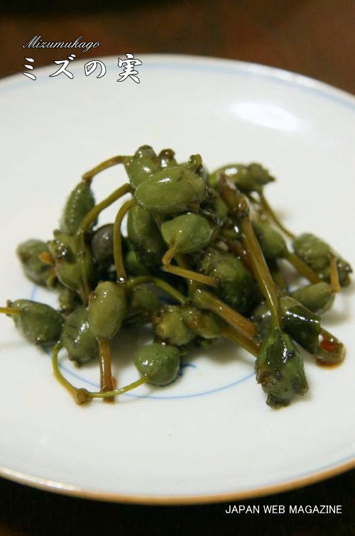 山菜のアザミが認知症の予防に効果あり！お味噌汁を作りました - つがる時空間