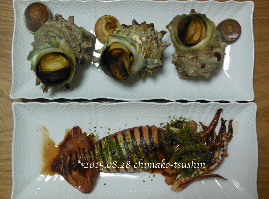 SAKANA JAPAN PROJECT魚ジャパンフェス2025 in大阪・扇町公園「いか焼き文寿」 ふっくらいかぽっぽ焼！！⽢醤油の⾹ばしい⾹りにそそられて⻘森郷⼟料理の⼀品ご賞味あれ。 「SAKANA&JAPAN FESTIVAL 2025in大阪・扇町公園」開催‼️Instagram