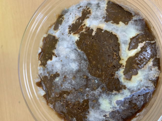 味噌が腐ると人が死ぬ