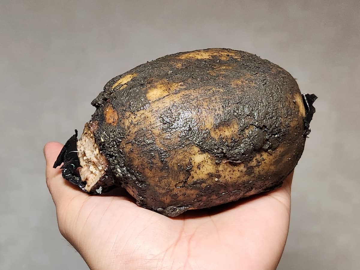 れんこんの保存方法 おいしく長持ち！ 常温・冷蔵・冷凍保存テク季節の食材のHOW TOアマノフーズ公式ブランドサイト