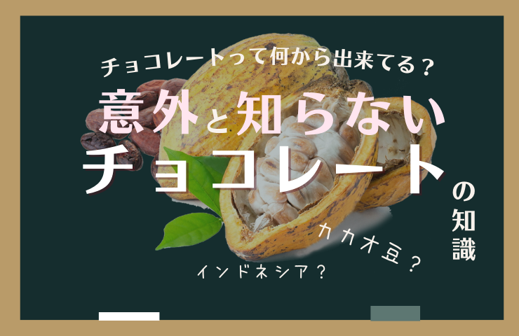 万病に効く⁈ チョコレートの原料『カカオ』FeelHerb鈴木ハーブ研究所