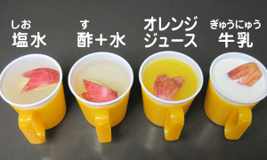 リンゴ アップル &洋梨 ペアー の香水 6種試してみた！フレグランス好きDEPACOメンバ