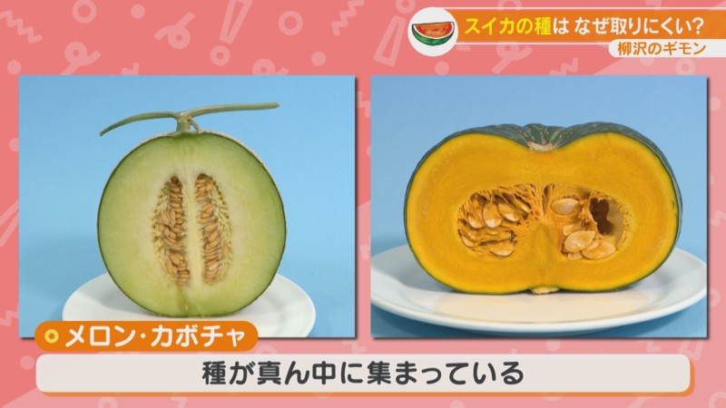 丸ごとスイカと断面の色鉛筆画のイラスト素材88818688- PIXTA