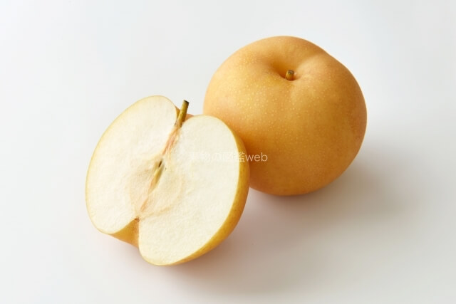 黄色・オレンジ色の果物一覧30選和名と英語名ごがくねこ