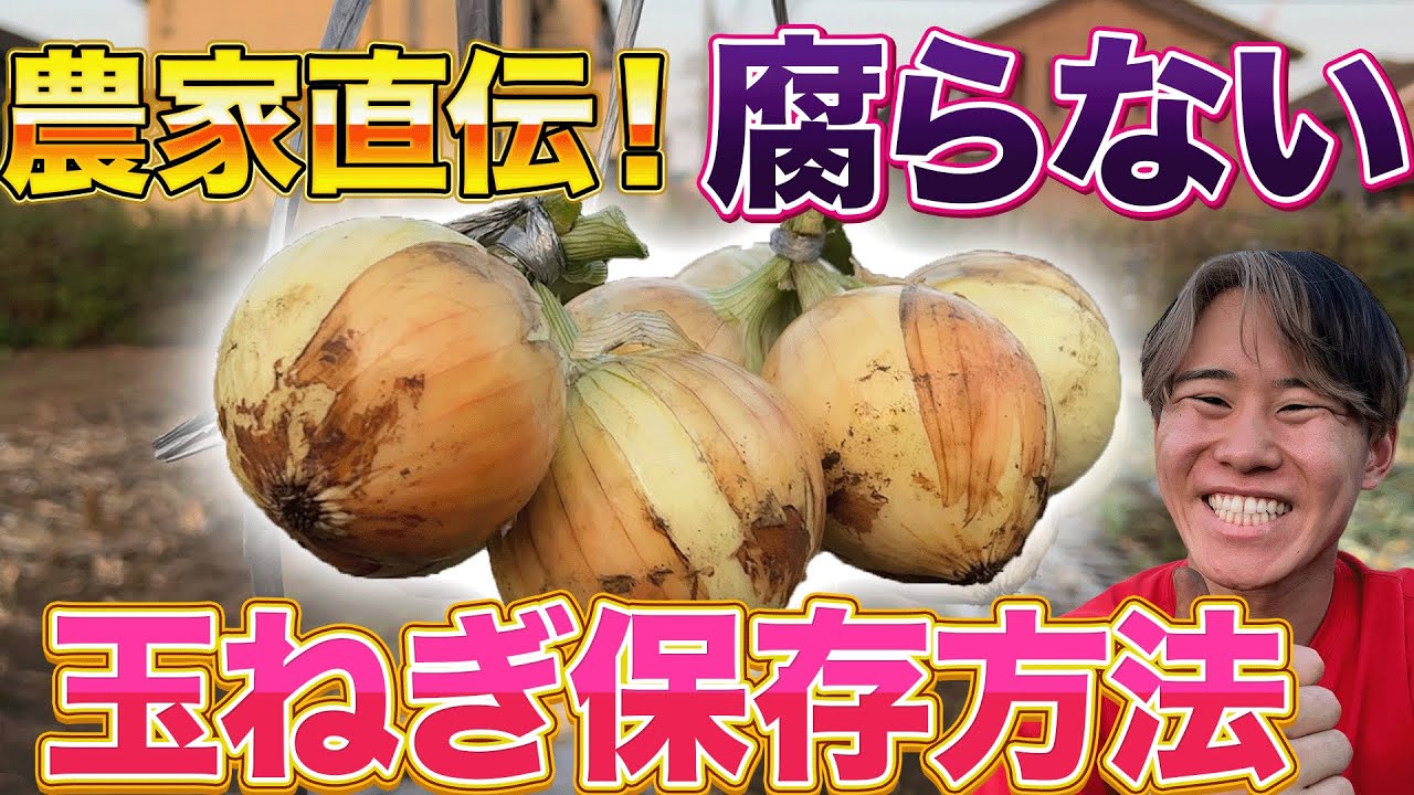 玉ねぎの保存法！切った玉ねぎの保存方法は?!どうやって保存するの？うずのくに