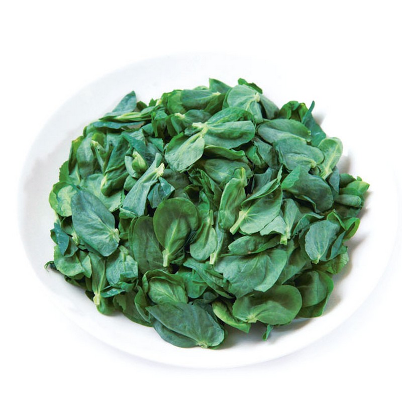 豆苗 とうみょう とは？旬・栄養・カロリー・賞味期限