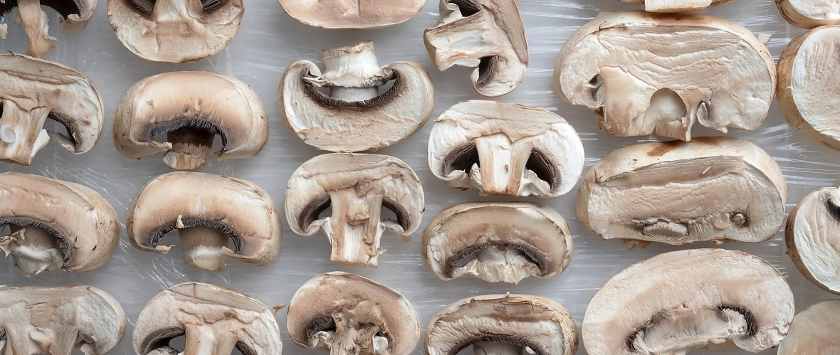 Amazon.co.jp: 雲南省から3ポンド 1362グラム の黒い真菌のマッシュルームウッドプレミアムグレード : 食品・飲料・お酒