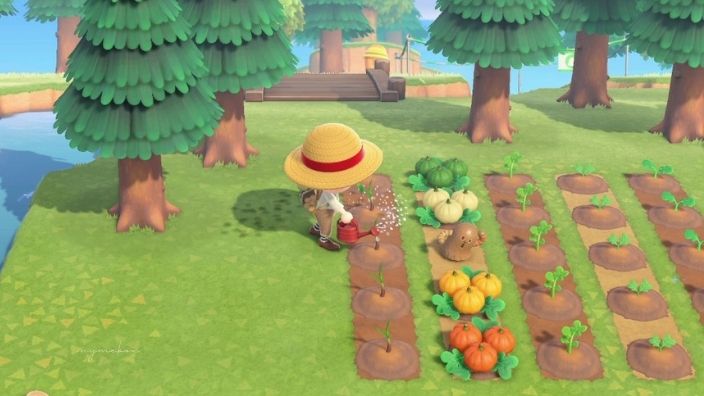 あつ森 畑おしゃれ 作り方TikTok