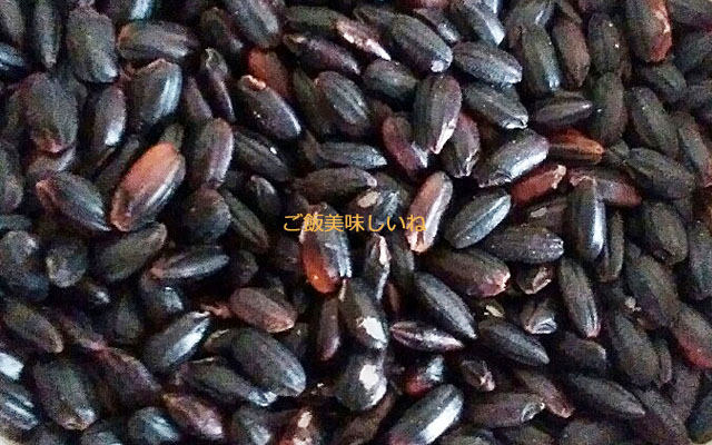 注目を集める「古代米」とは？健康へのメリットやおいしい炊き方も解説15 e organic – 15 e organic