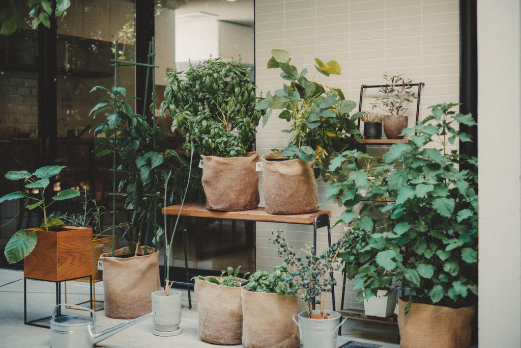 家庭菜園で使う囲い！おしゃれな家庭菜園用の囲いのおすすめランキング野に行く