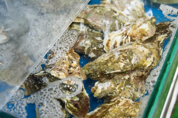 海の幸ふるまいセンターの予約岩手県大船渡市日本料理AutoReserve