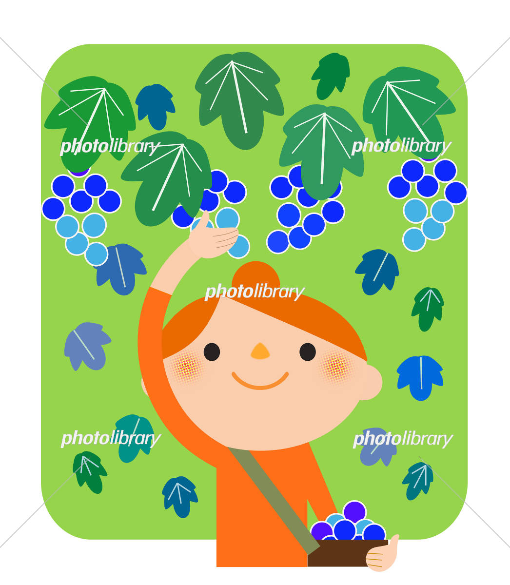 フリーイラストぶどうを収穫する男の子パブリックドメインQ：著作権フリー画像素材集