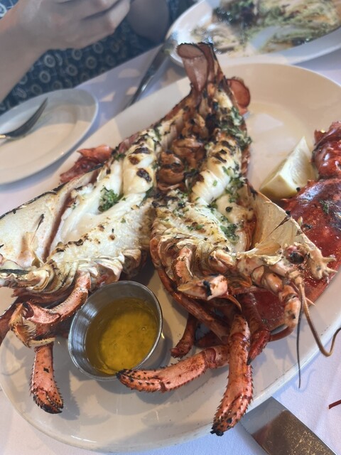 伊勢海老、オマール海老、ロブスターってなにが違うの？ – ごちそう本舗