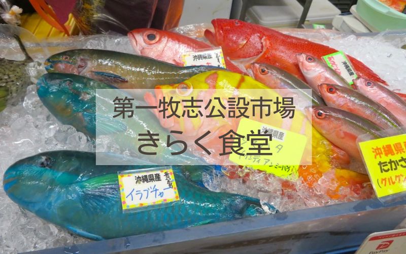 那覇市にある牧志公設市場で出会える沖縄の色鮮やかな魚たちよみもの沖縄CLIPあなたの沖縄旅を豊かにする体験予約サイト・観光情報メディア