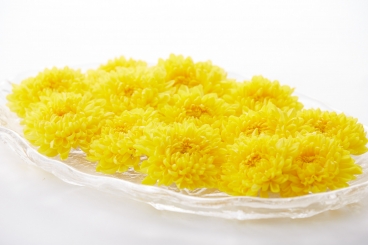 源氏」という名の北秋田の在来種の山菊を発見 高貴な香り、そしてこの色の深さ 菊の神秘。oguraさんの玄米麺との調和源氏身土不ニ食用菊glutenfree