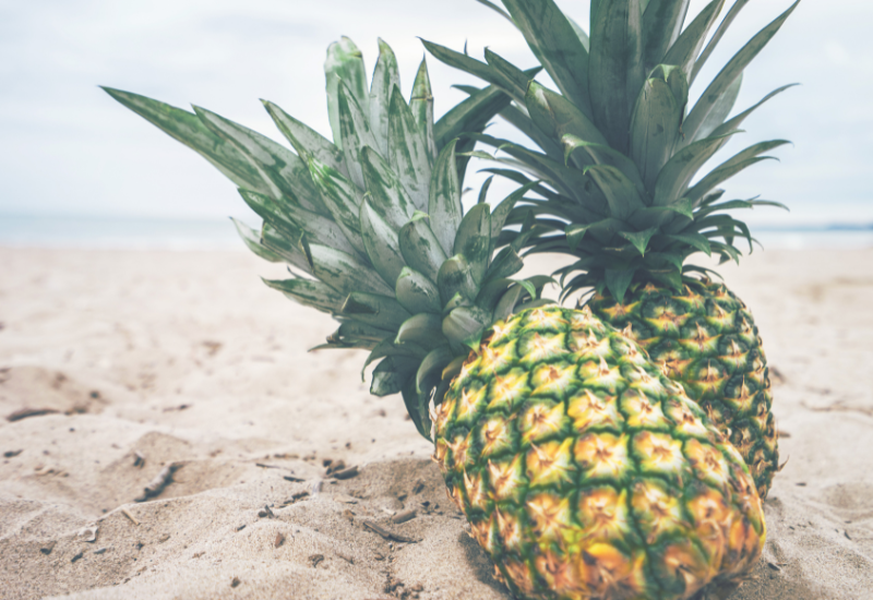 パイナップル豆乳UVスキンケア 公式 鈴木ハーブ研究所