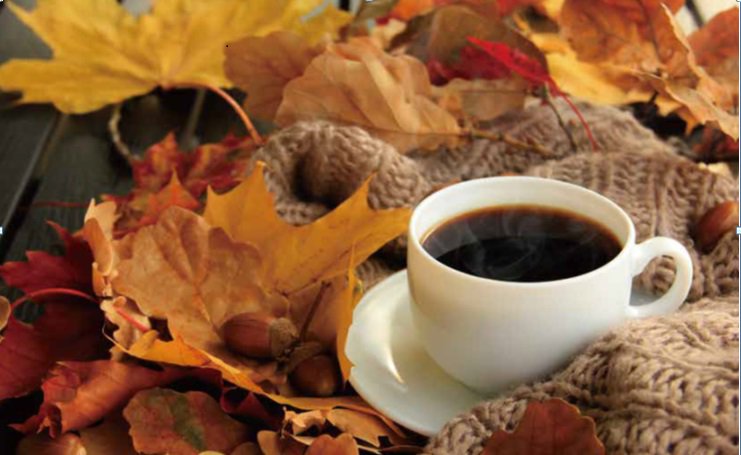 🎁丸山珈琲の秋ギフト おすすめ商品をピックアップ 敬老の日や秋の贈り物にコーヒーギフトはいかがでしょうか🍁 毎年人気の季節限定ふくろうブレンドや、秋 にぴったりのくるみトルテや珈琲栗どら焼きのギフトセットもご用意しております。 秋の訪れを感じるこの季節に