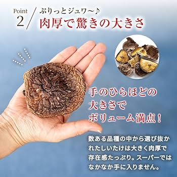 天然きのこをたくさん入手したら。下処理・保存方法・レシピの紹介関東きのこの会