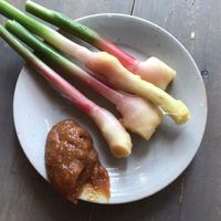 葉生姜の味噌つけと漬け by どまんなかたぬまクックパッド簡単おいしいみんなのレシピが392万品