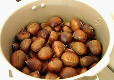 栗を食べる前に見て！栗の正しい保存方法と栗の糖度を5倍もアップさせる裏技を大公開