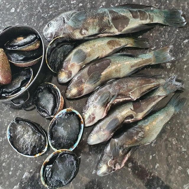 バターフィッシュ: フライｄｅ海外釣行