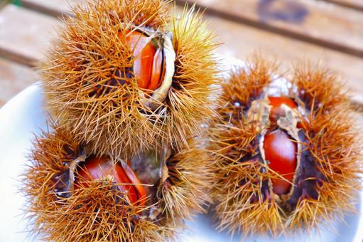かわいい 食べ物 茶色 お菓子の写真素材 - PIXTA