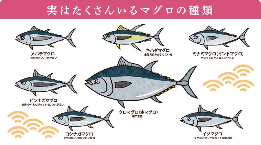Infocalendar －マグロ初競り最高落札価格推移 築地市場│2019年からは豊洲市場ニッセイ基礎研究所