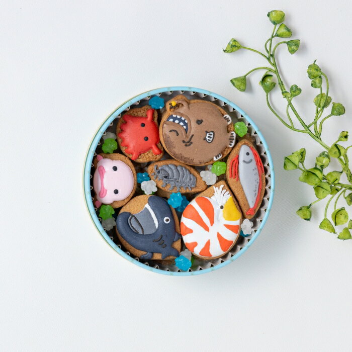 海のマドレーヌ