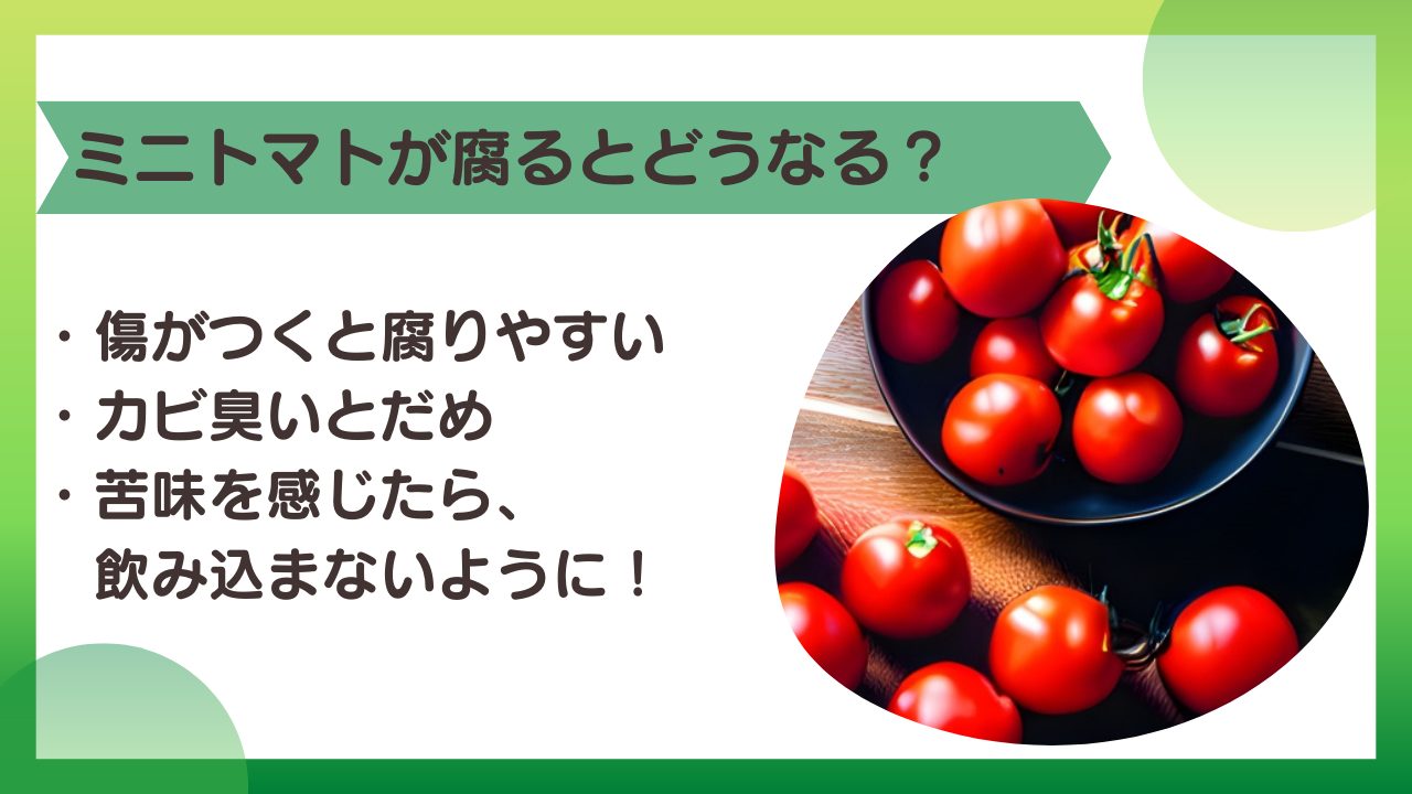 トマトの割れ 裂果栽培屋 RATOON