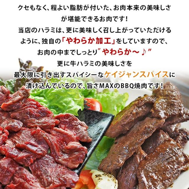 楽天市場 タレ漬け牛ハラミ 500g ハラミ味付け 牛ハラミ 焼肉用 牛ハラミ肉 肉 焼肉 牛肉 ハラミ 焼き肉 柔らかハラミ はらみ 赤身肉 手軽家飲み つまみ キャンプ BBQ バーベキュー 肉 お肉 訳あり グルメ タレ漬け 一人暮らし 仕送り 保存 冷凍 美味しい 行楽 お弁当 :
