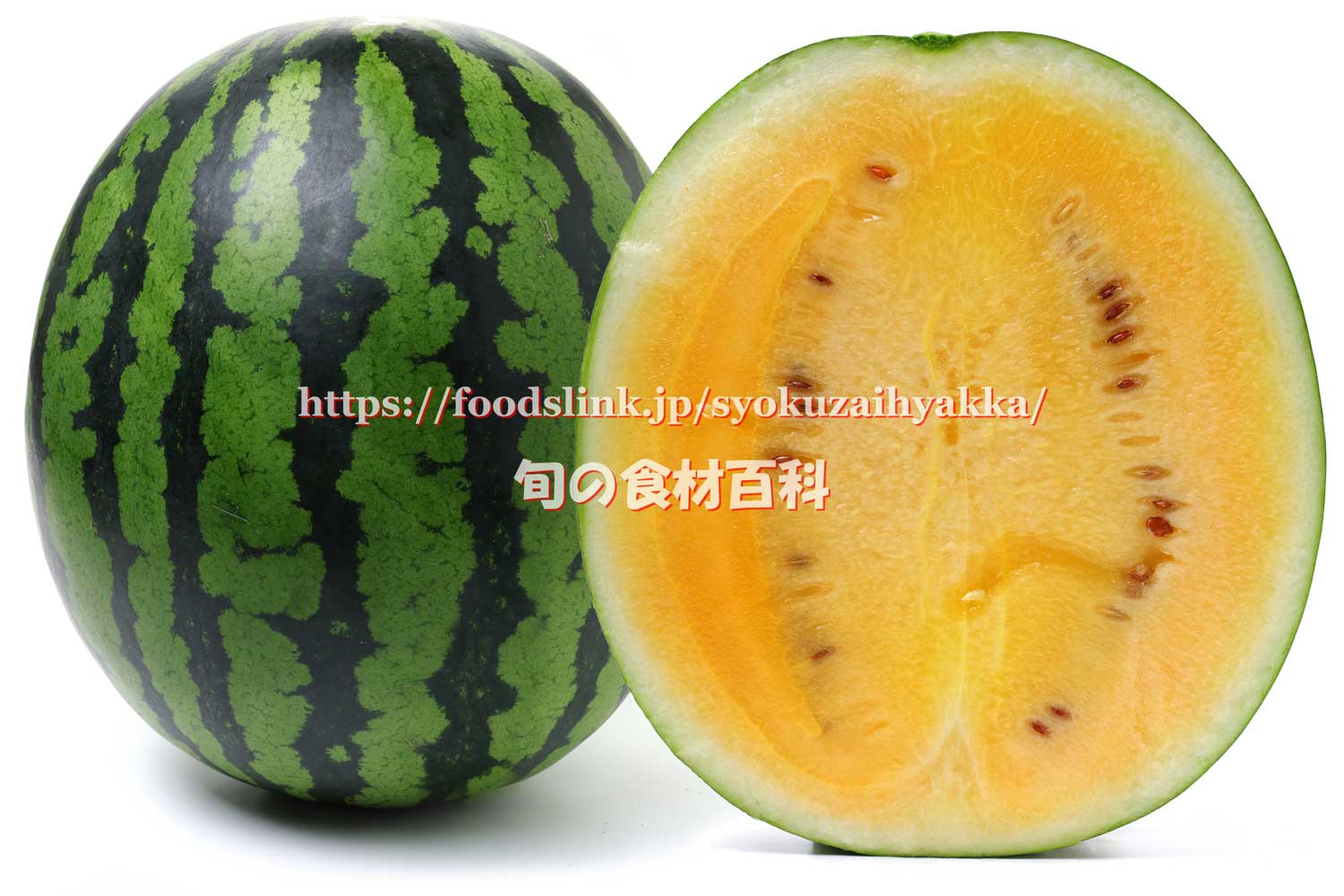 半分にカットしたスイカ 夏のフルーツの手描き水彩イラスト素材のイラスト素材FYI07840979ストックフォトの QleanMarket キュリンマーケット