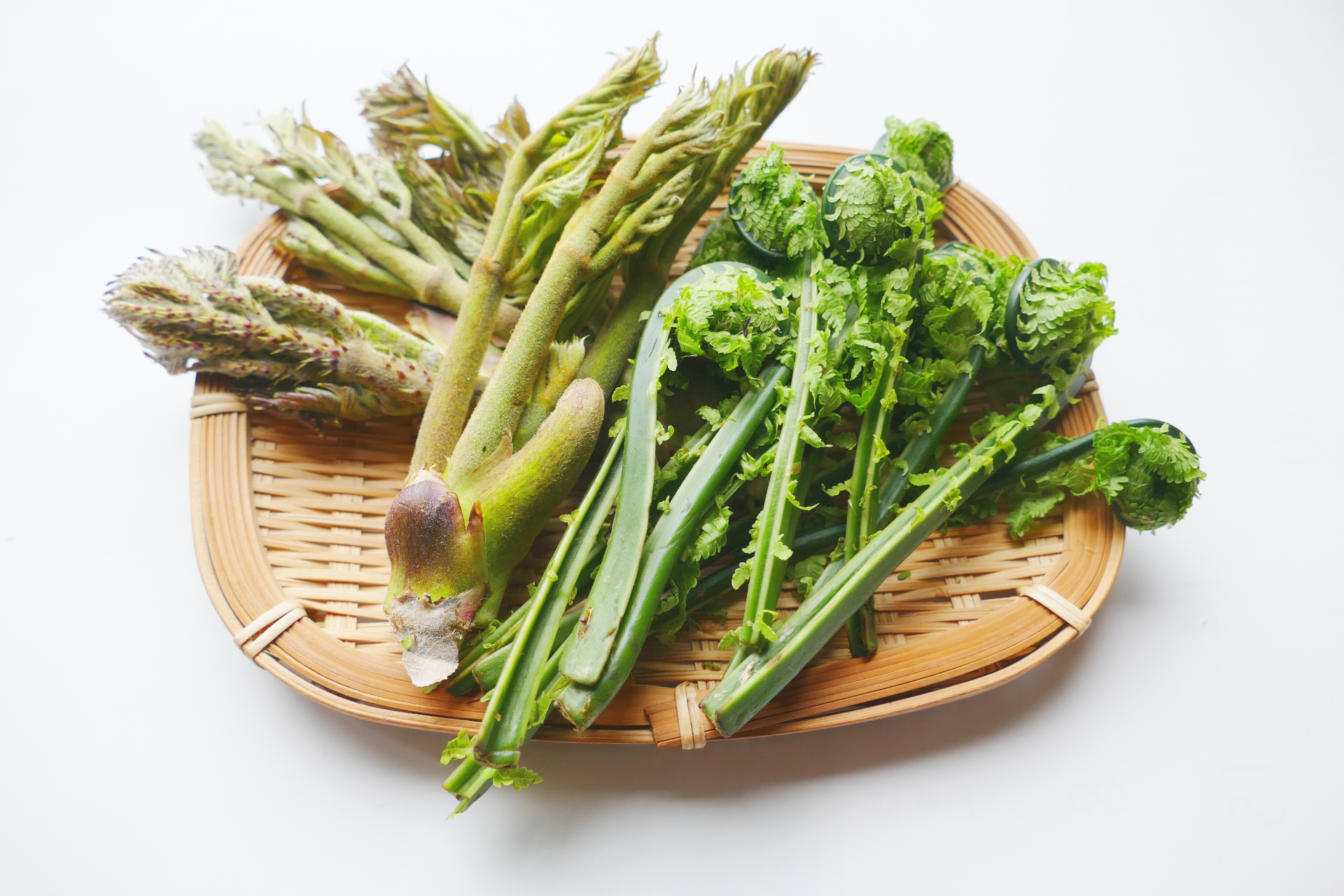 違いが分かる!!春の味覚山菜春の味覚と言えば「山菜」！ 山菜の天ぷら食べたくなりますね♩ ところで山菜ってアク抜き必要なの？ どうやって食べるの？種類が多くて、正直特徴も食べ方もよくわからない！ 今回は代表的な山菜5種類「たらの芽」「ふきのとう」 「こごみ