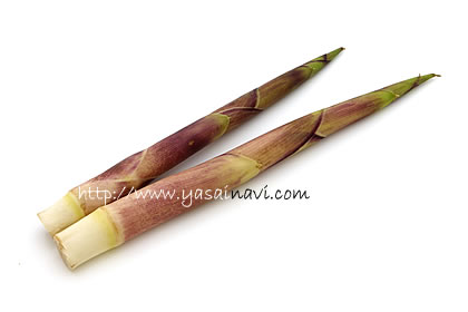 ハチク 淡竹 はちく ＜ 筍 たけのこ ：旬の野菜百科