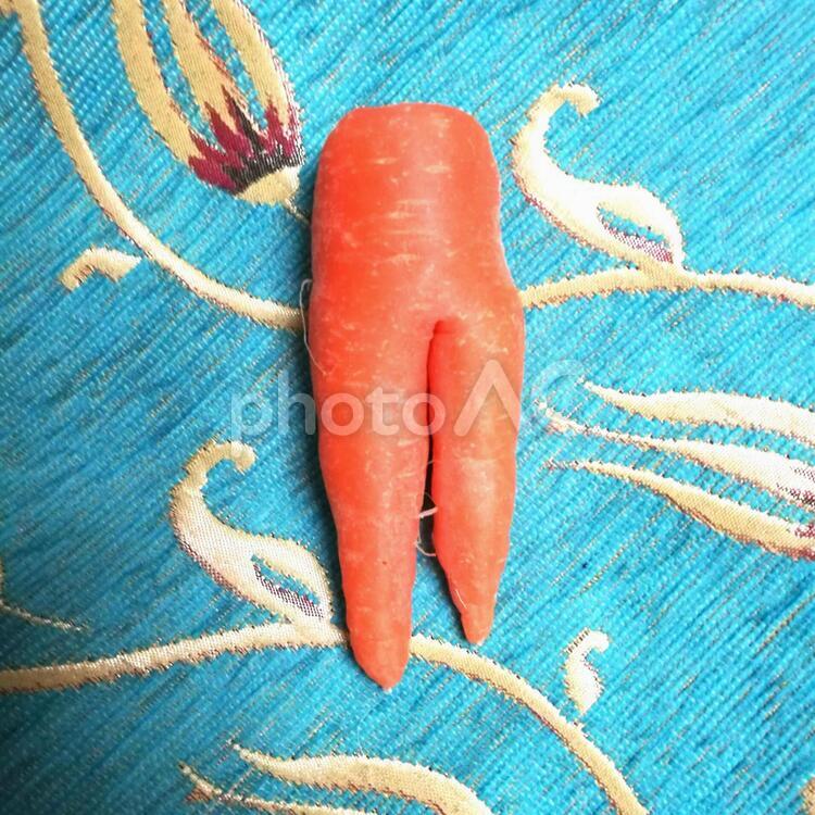 おかまな・にんじんもりおじさんの日記