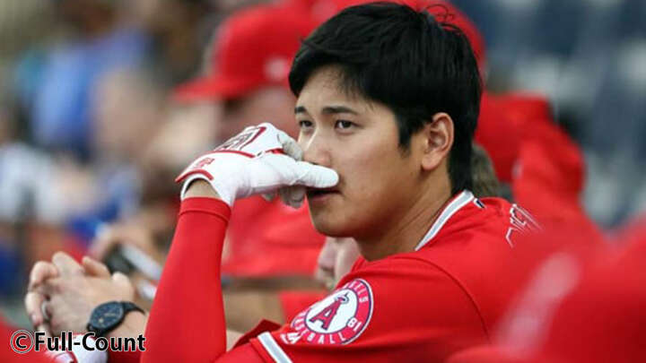 紙コップでひまわり デイサービの創作レク: 手作り TOY BOX