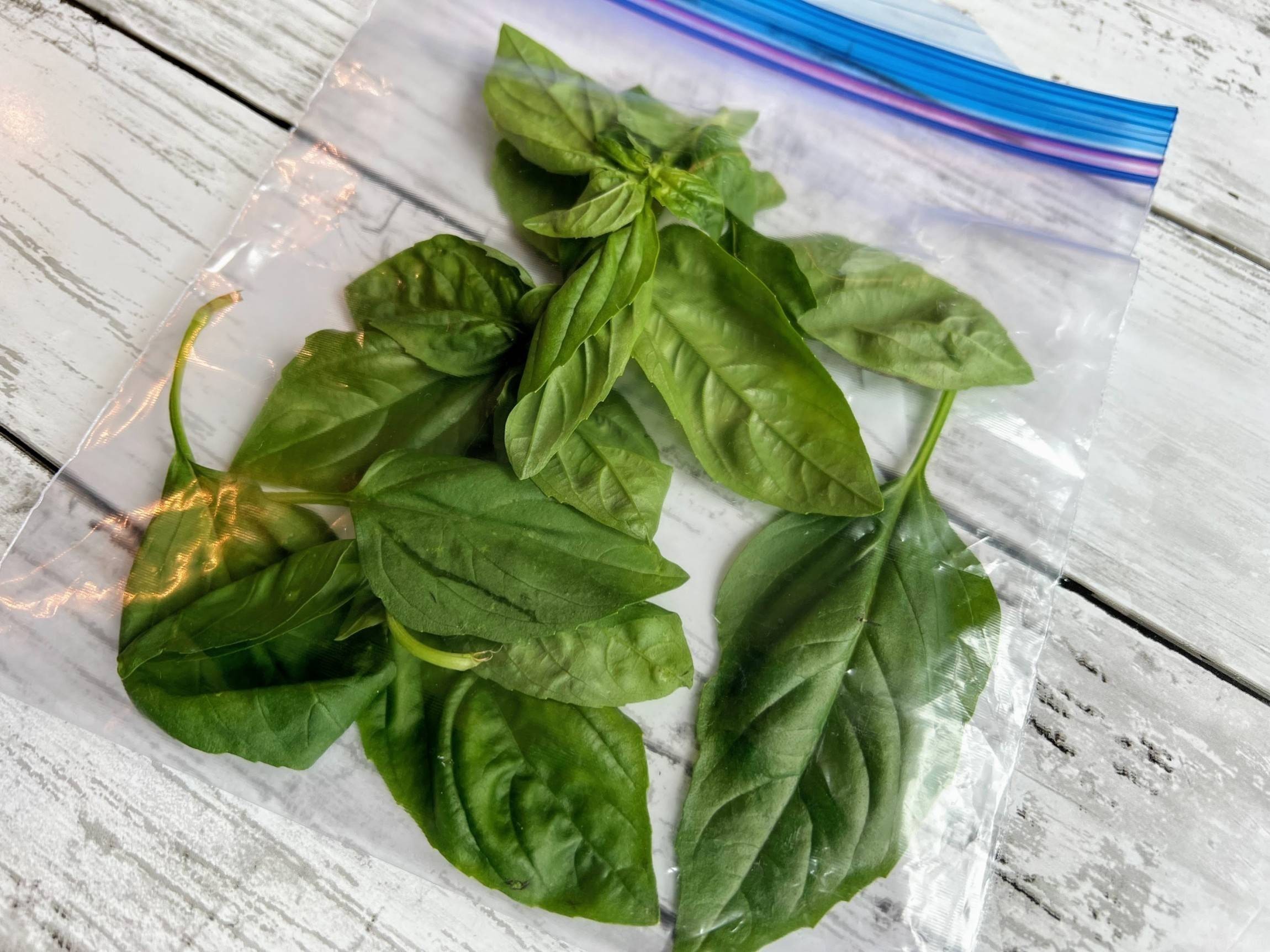 バジル野菜保存のポイント保存テクニック旭化成ホームプロダクツ