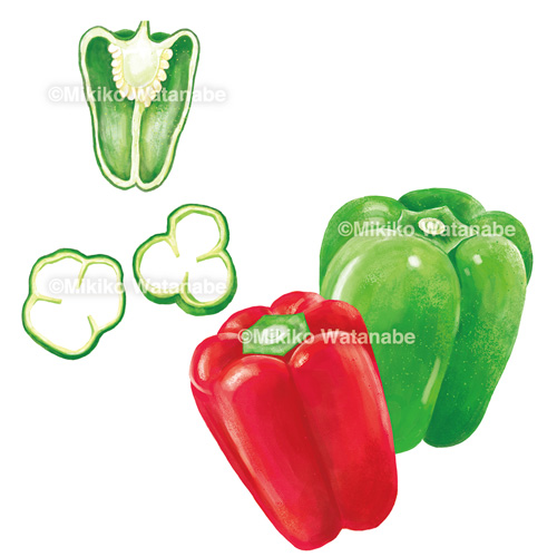 手書き風 ピーマンのイラスト素材49419768- PIXTA