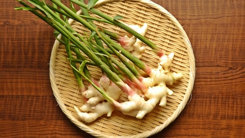 葉生姜の肉巻き焼き