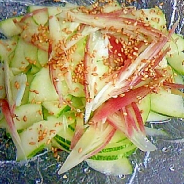 第134回うめきた朝ガク「つながりの資源としての伝統野菜について―玉造黒門越瓜との出会いから―」 2025年8月28日 オンライン・Zoom-こくちーずプロ